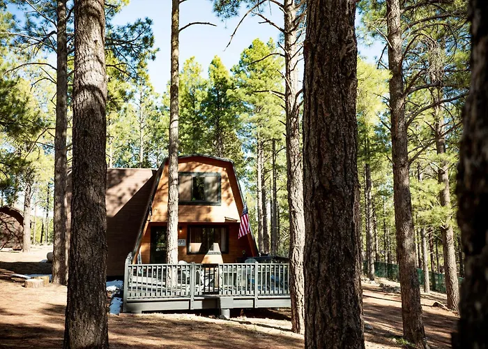Grand Canyon Cabin! One Hour And 10 Minutes To The South Entrance!