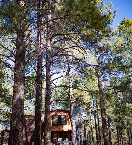 Grand Canyon Cabin! One Hour And 10 Minutes To The South Entrance! *