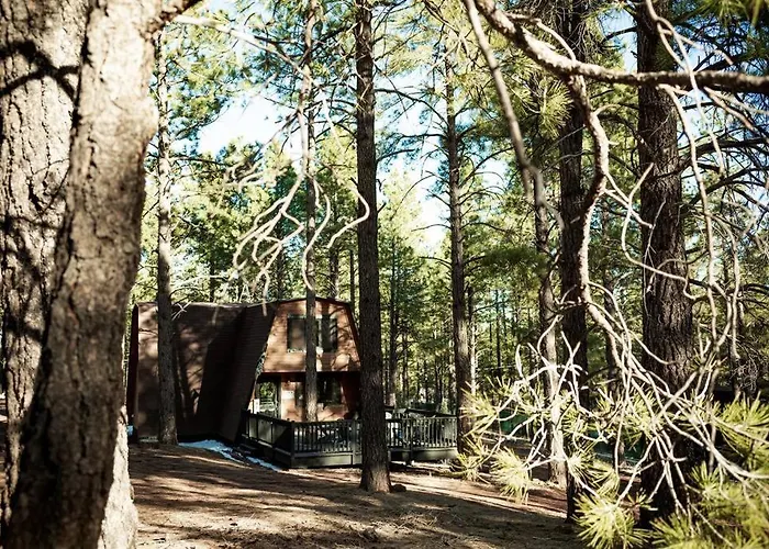 Grand Canyon Cabin! One Hour And 10 Minutes To The South Entrance!
